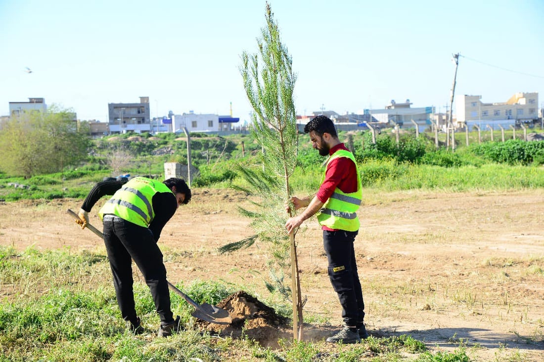 150 دار سنوبه‌ر له‌ هه‌ولێر چێندران