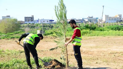 150 دار سنوبه‌ر له‌ هه‌ولێر چێندران