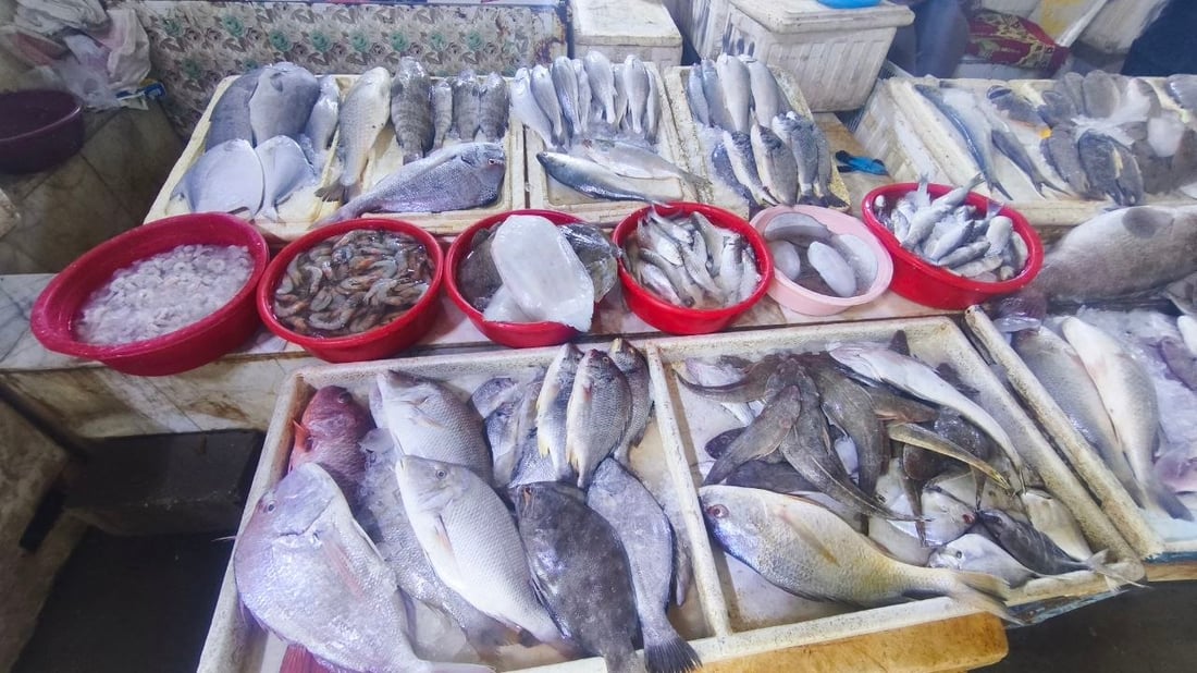 الصبور يشعل مزاد الفاو مبكراً.. الزوج 190 ألف دينار وإن لم يعجبك فالهامور والزبيدي