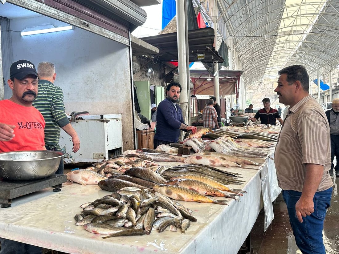 صور: أسماك المحافظات لم تصل الى سوق الميدان في الموصل.. والسعر ارتفع قليلاً