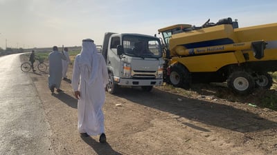 أبو غريب: 3 عوامل تتعلق بالسماء والحكومة ضاعفت إنتاج الحنطة والشعير (صور)