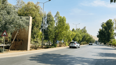 کامێراکانی خاڵ بۆ خاڵ هەر سوودیان بۆ مرۆڤ نییە؛ دار و درەختەکانیش دەپارێزن