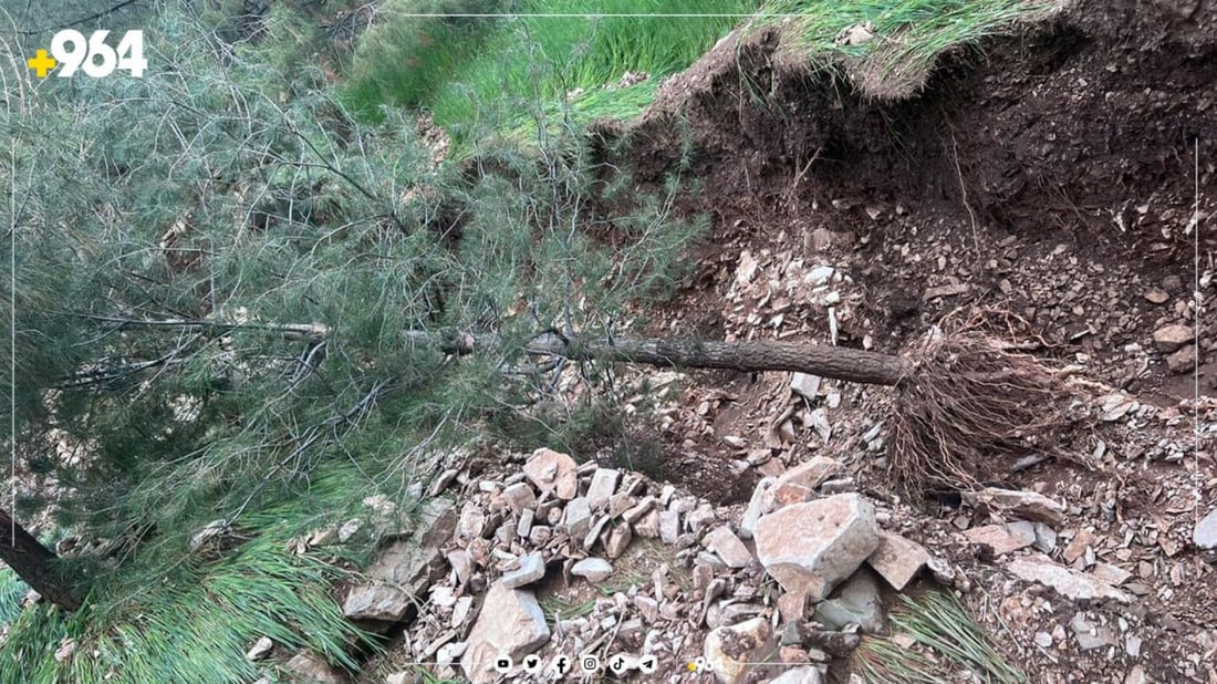 با و باران چوار دارسنەوبەری ئەزمەڕی لە رەگەوە هەڵکێشا