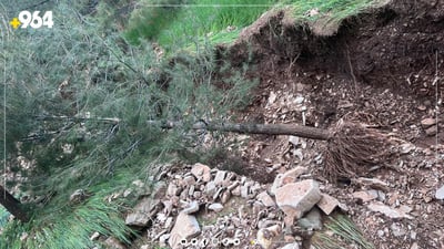 با و باران چوار دارسنەوبەری ئەزمەڕی لە رەگەوە هەڵکێشا