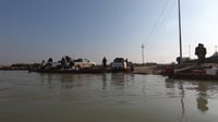 صور: الأهوار تنتعش.. الأسماك والطيور والجاموس تعيد مظاه...