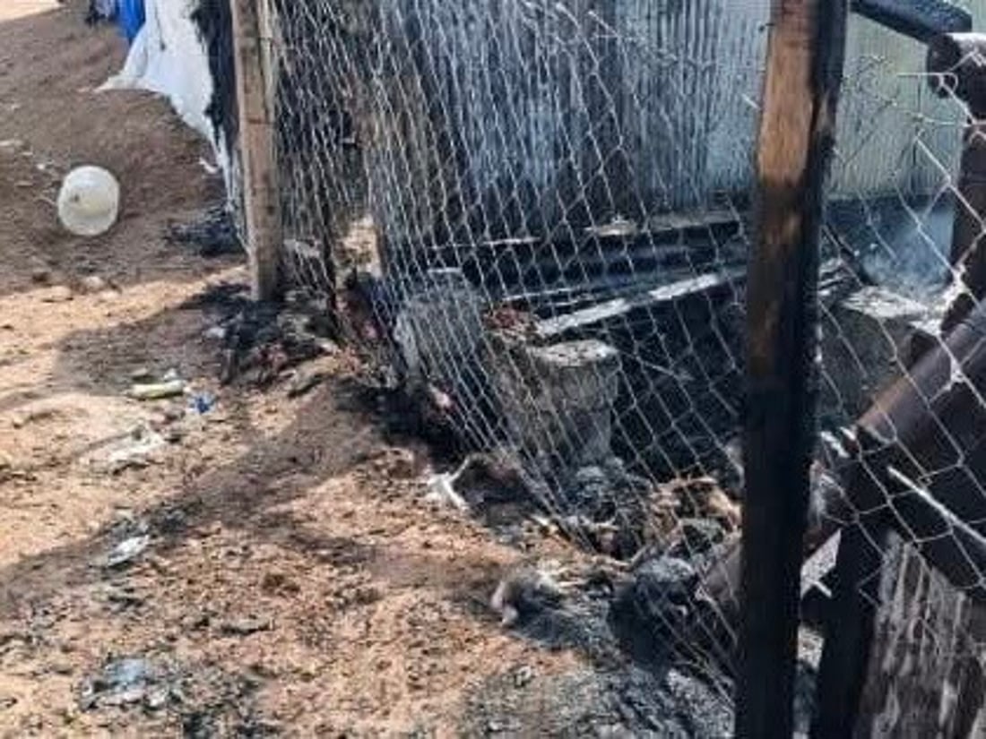 Fire at Zakho poultry farm kills over 100 birds