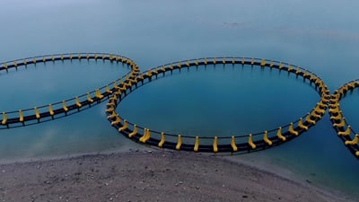 حكومة دهوك تنشر الصور الأولى لأكبر مشروع أسماك في العراق