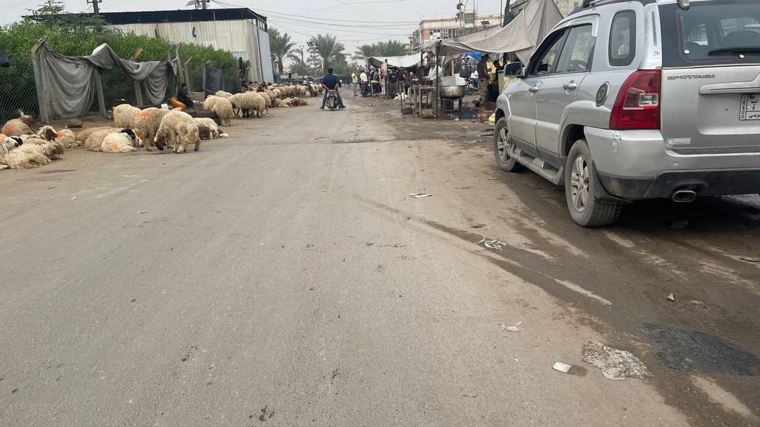 هذا ما يحدث قرب صورة الصدرين في “قطاع 18”.. وهناك من “يحميهم”! (صور)