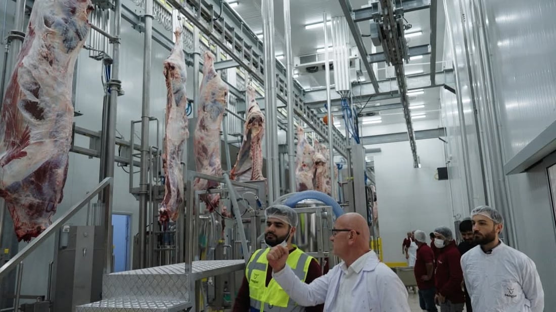 50هەزار ئاژەڵ بەیەکەوە جێگەیان دەبێتەوە 