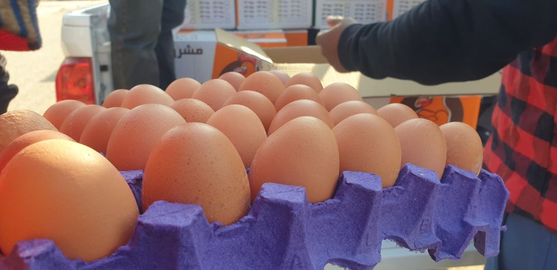 صور: البيض المدعوم يصل إلى حي “التنك” أفقر مناطق السماوة.. الطبقة بـ 4750