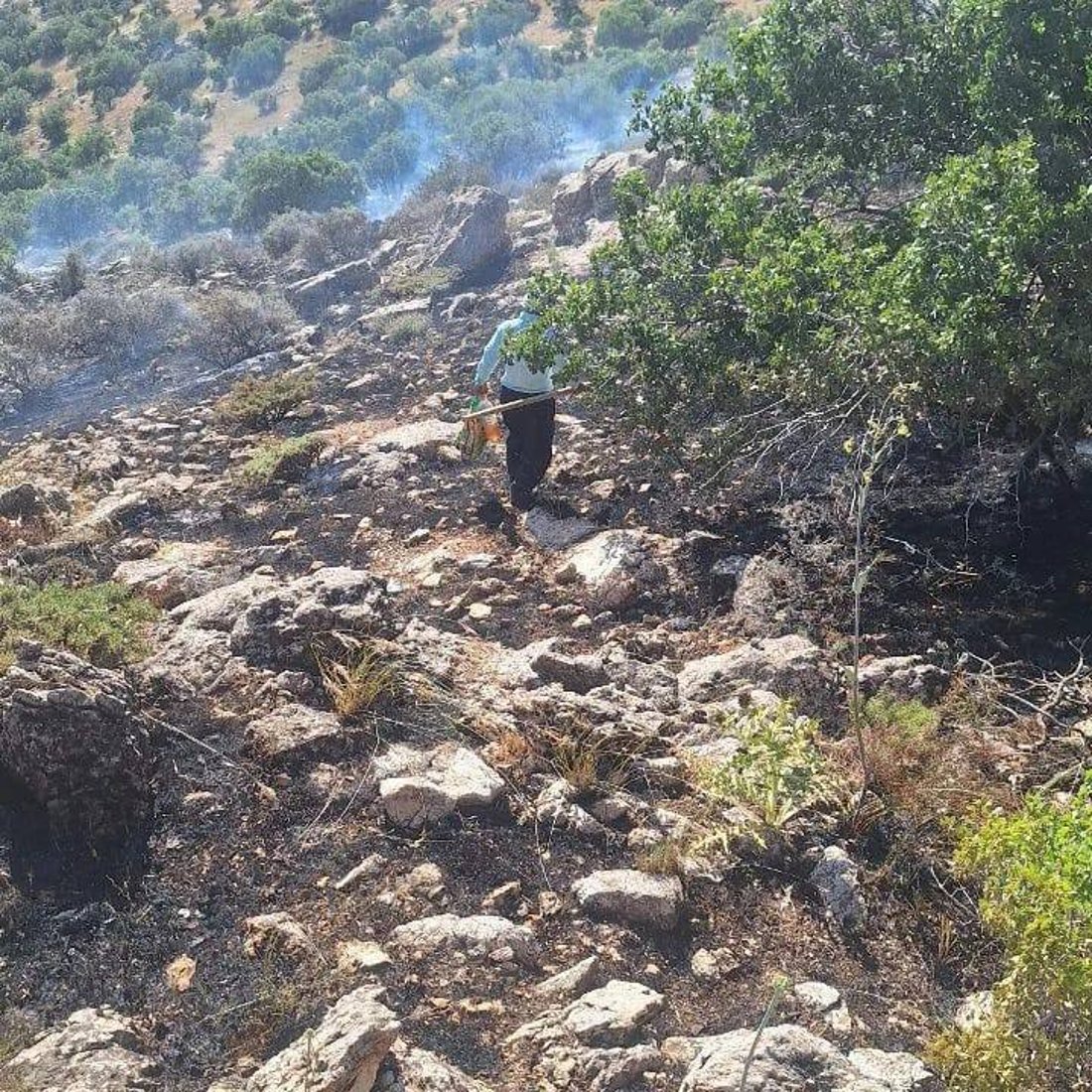 دوای دوو شەو ئاگرەکەی دارستانی کرماشان کۆنتڕۆڵ کرا