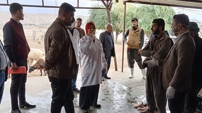 ڤێتێرنه‌رى دوزخورماتوو 15 قه‌سابخانه‌ى سزادا