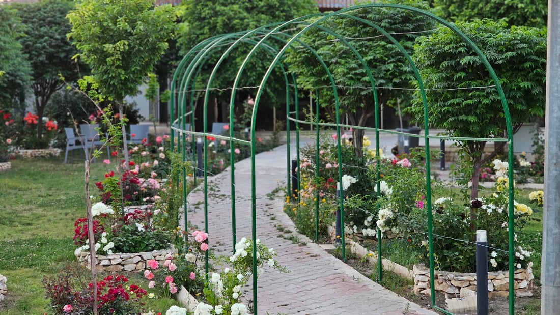 سەنتەرێک بە خزمەتگوزاریی بێبەرامبەرەوە باوەشی بۆ خانەنشینانی کۆیە کردووەتەوە