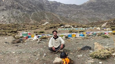 هه‌نگه‌وانانى سیده‌كان داوا ده‌كه‌ن رێگرى له‌ هاتنى هه‌نگی ده‌ره‌وه‌ بكرێت