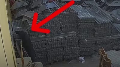 Man confesses to industrial warehouse fire following arrest