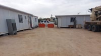 النشوة: نقل كمرك 