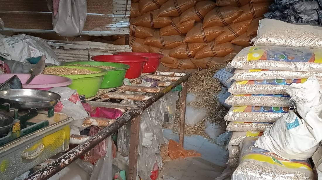 أعلاف البصرة من الكوت وزاخو و”المطيرجية” يحركون السوق.. أسعار أبو الخصيب اليوم