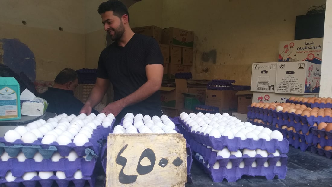 بغداد: البيض يعود إلى رشده في الحرية.. الطبقة بـ4500 وقد تنخفض أكثر