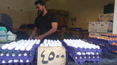 بغداد: البيض يعود إلى رشده في الحرية.. الطبقة بـ4500 وقد تنخفض أكثر