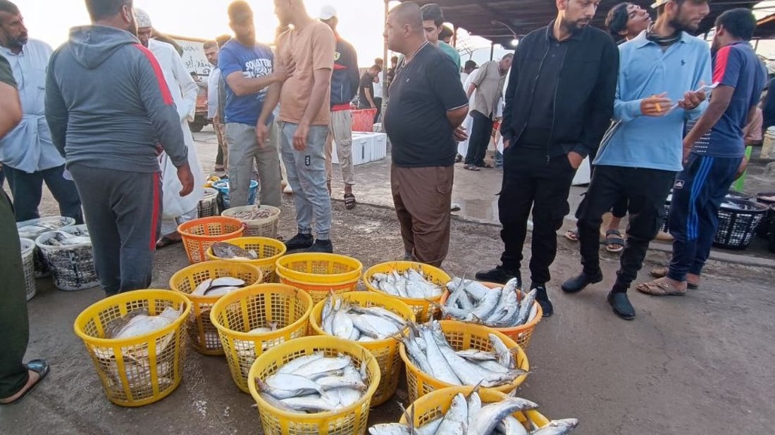 موجة البرد تضعف الطلب في الفاو.. السمك البحري وفير والأسعار بدأت تنخفض