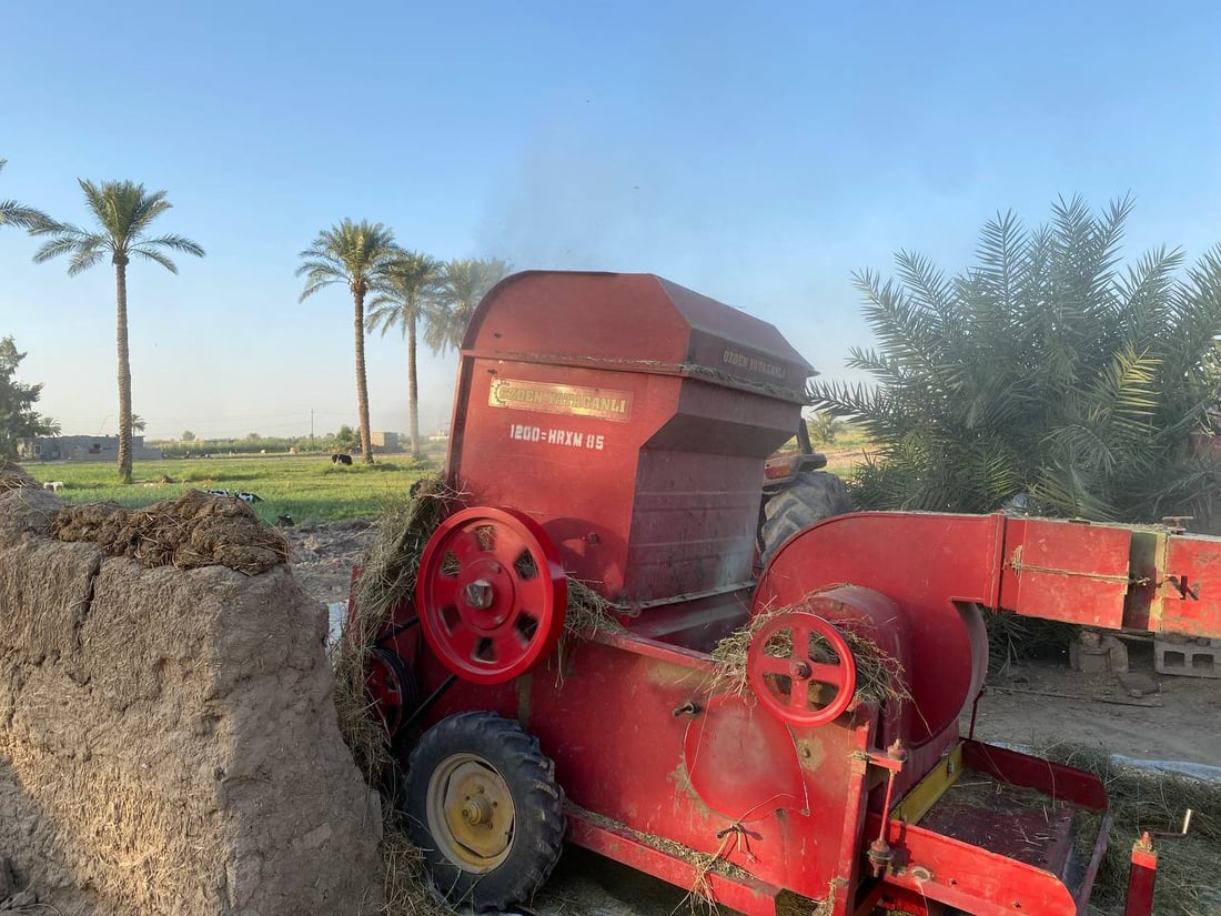 صور من مزارع أبو غريب.. اعتماد أكبر على المكائن وزيادة في البرسيم والذرة