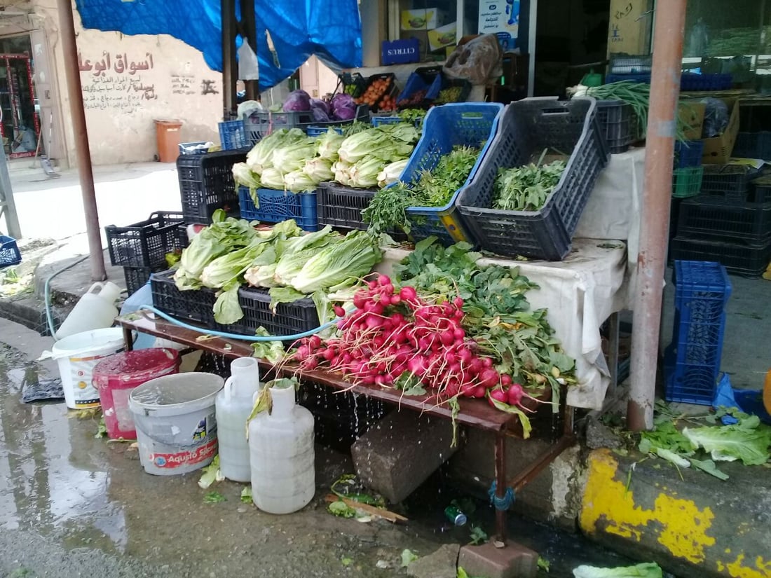 صور: الفجل أصبح محصولاً شعبياً في آلتون كوبري.. الجميع يبيعه لمسافري طريق أربيل