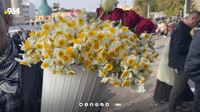 نێرگزی شیراز بازاڕی سلێمانی بۆنخۆش کردووە