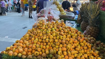 الزعرور الأفريقي لا يباع بسهولة في الناصرية.. يشبه النبگ والكيلو بـ8 آلاف (صور)