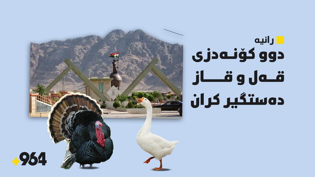 دوو کۆنەدزی قەل و قاز لە رانیە دەستگیر کران