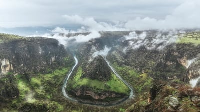 Barzan environmentalists release wild goat back into nature