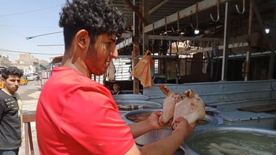 سوق بأربعة أسماء لكن الناس تعرف “الباچة”.. جولة مصورة بين أكشاك بغداد الجديدة