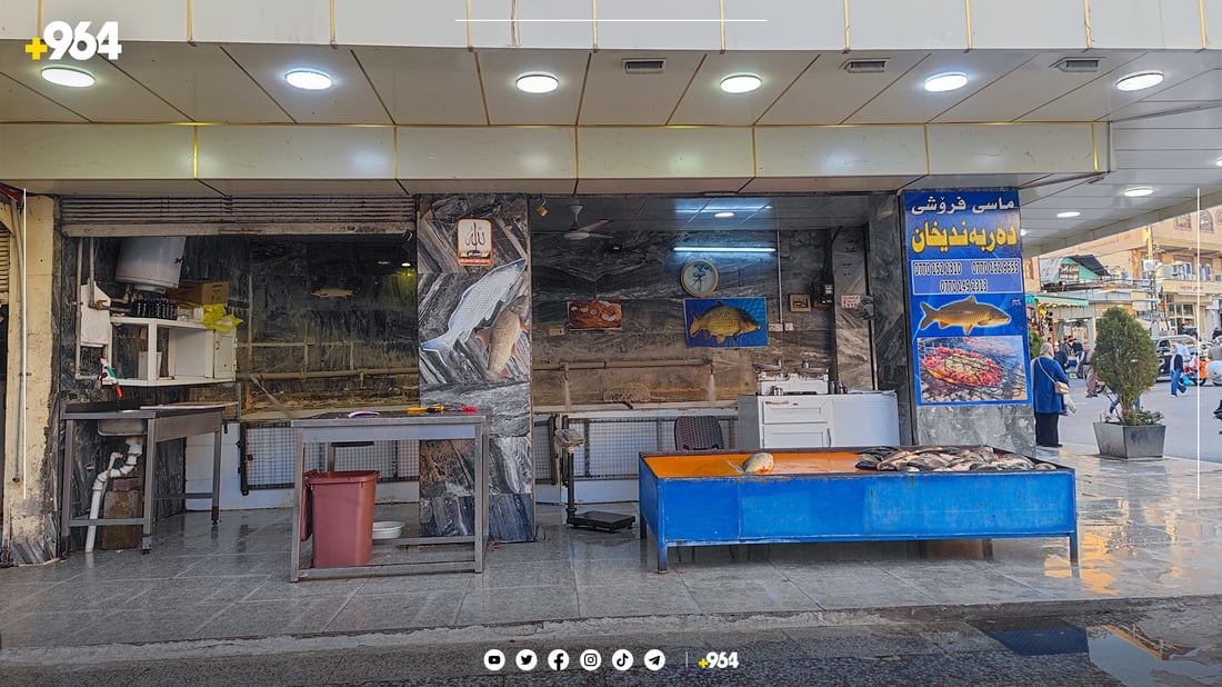هەر کیلۆیەک گۆشتی ماسی دوو هەزار دیناری چووەتەسەر