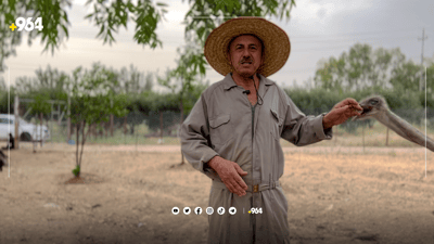 پیاوێک بژێوی ژیانی لەسەر نەعامەیە