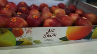 حفل في مطار أربيل بمناسبة تصدير أول شحنة من تفاح دهوك إ...