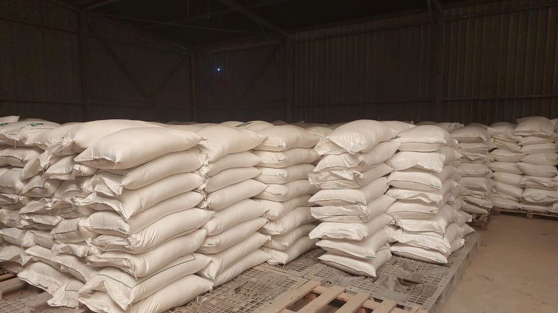 300 طن أغذية و40 أدوية.. الهلال الأحمر العراقي يجهز شحنة مساعدات إلى غزة (صور)