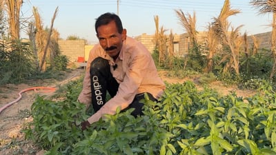 Egyptian gardener earns lasting praise for transforming Diyala’s farmland