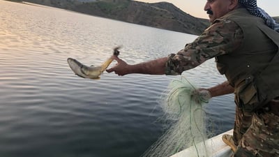 Kurdistan Region fishing ban to end Thursday