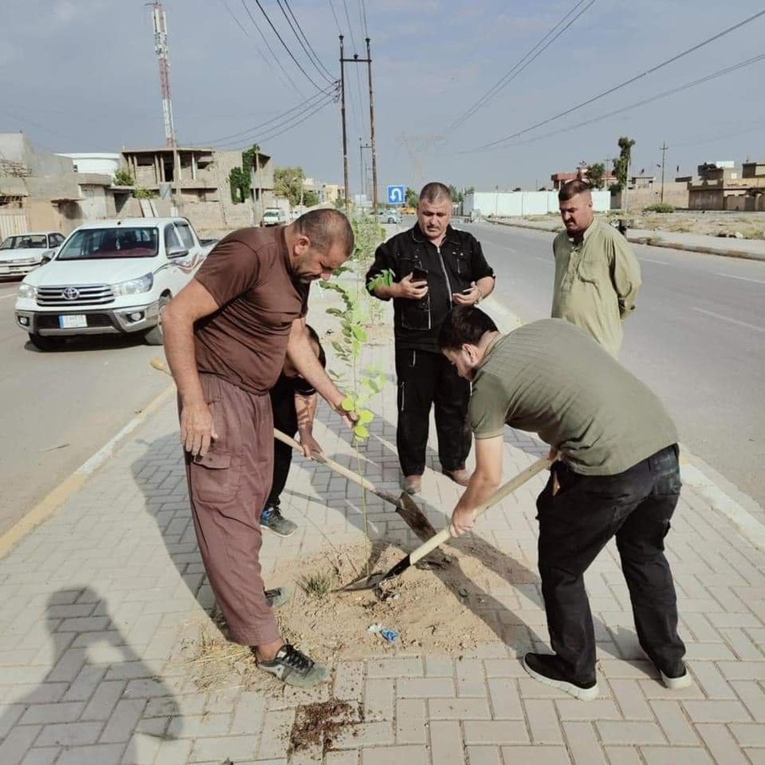 شارەوانی خورماتوو هەڵمەتی ناشتنی نەمامی راگەیاند