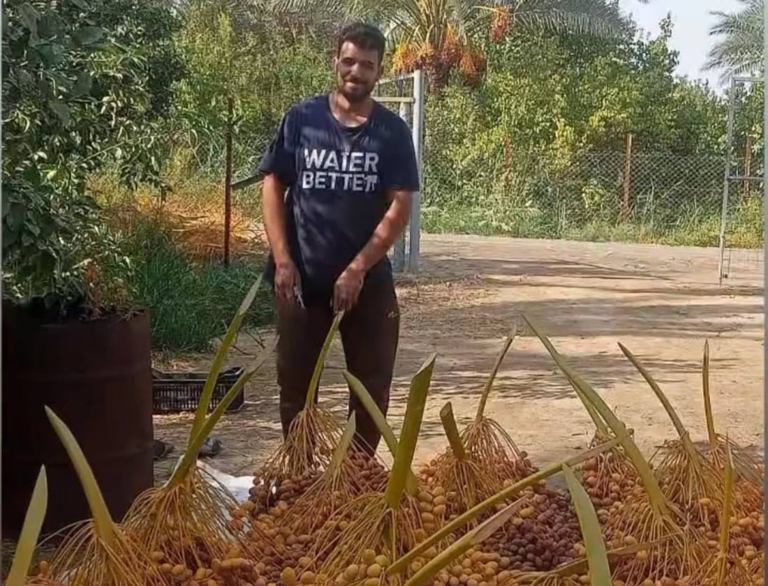 مزارعو الطارمية يسارعون لقص التمور قبل اشتداد المطر.. والتجار بانتظار الشتاء (صور)