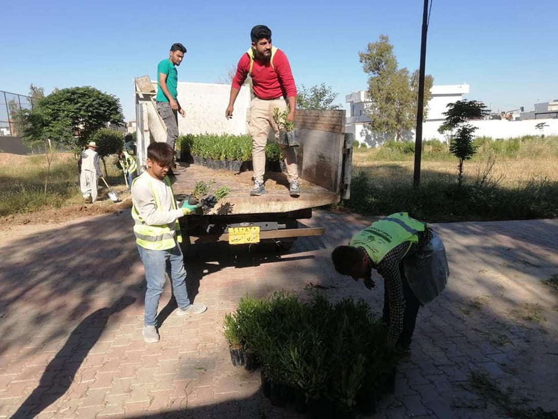 340 داری دەدۆنیا لە بنەسڵاوە چێندراون