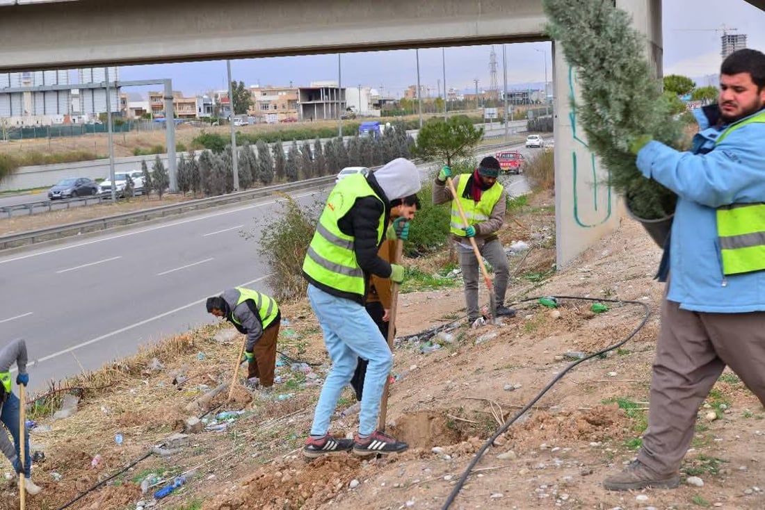 هەڵمەتێكی گەورەی دارچاندن لە هەولێر بەڕێوەیە