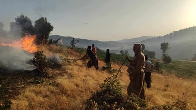 نزیکەی 200 دۆنم پوش و پاوان و داری سروشتی له گەرمک سووتان