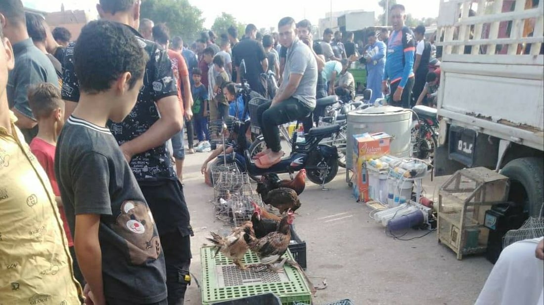 كل شيء بسعر زهيد في جمعة هيت (صور)