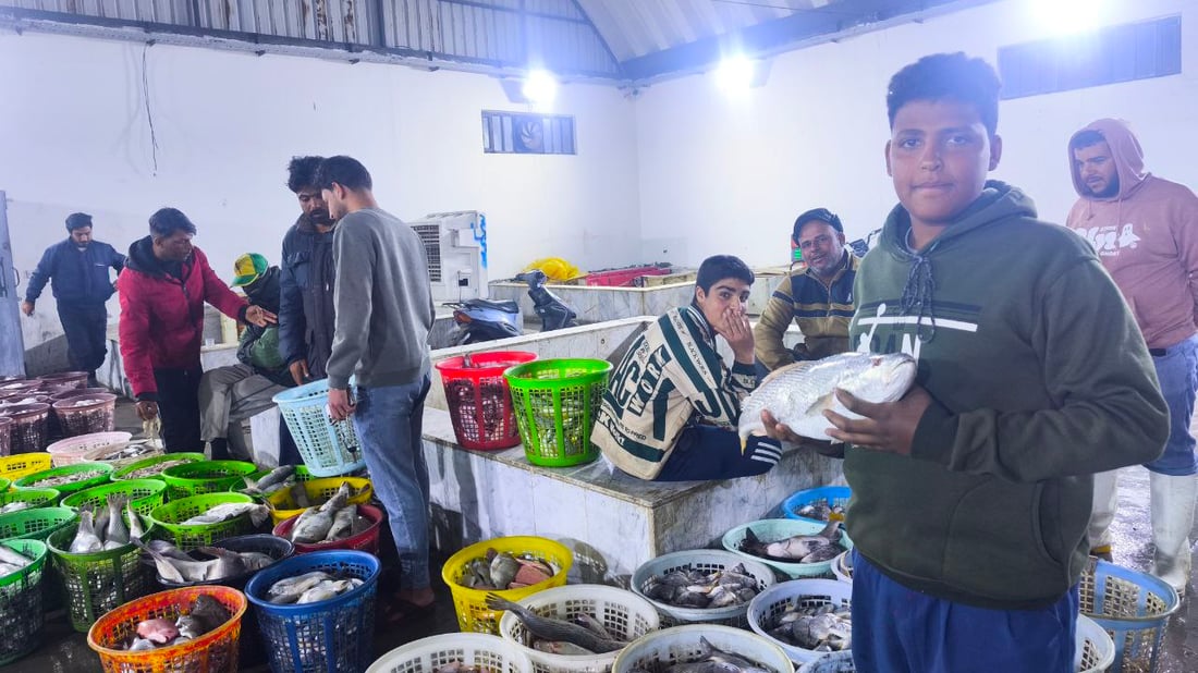 صور: 30 طناً من السمك في مرسى النقعة.. “خلي الفقير ياكل”