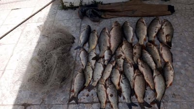 Environmental police arrest seven at Darbandikhan Lake for illegal fishing during seasonal ban