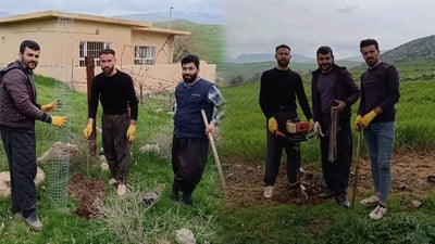 Dukan’s Henjira village to plant 650 pine trees