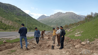 خۆبەخشانی قەسرێ لە دەروازەی شارەکەیان دار دەچێنن