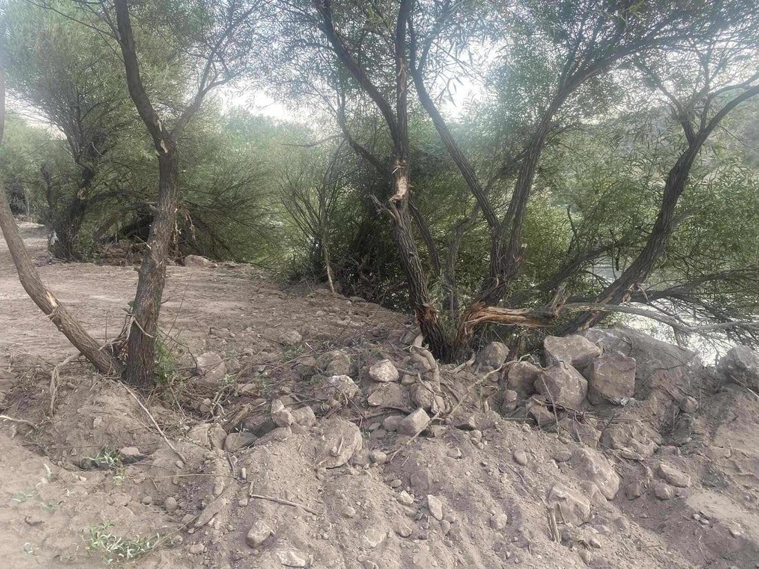 پێنج کەس ژمارەیەک شۆڕەبی لاو و بەتەمەنیان بڕییەوە؛ دەستگیر کران