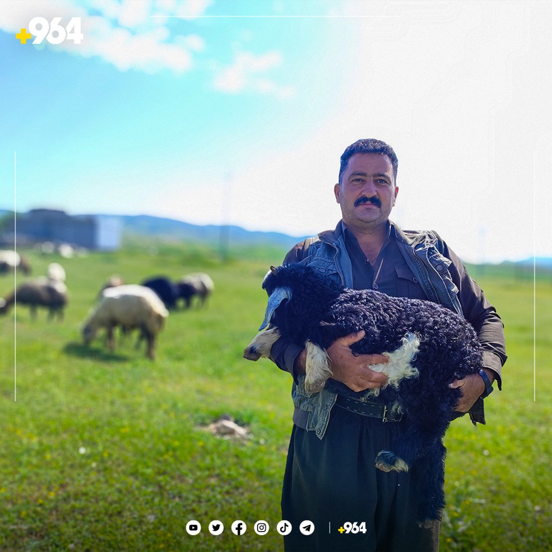 ئەمساڵ دەشتی شارەزوور سفرەیەکی رازاوەی بۆ خوانی ئاژەڵەکان راخستووە
