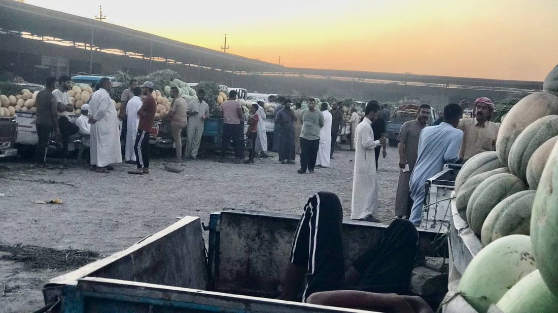 زراعة أبو غريب ليست بخير.. أمطار أيار هي السبب وحر حزيران (صور وأسعار)